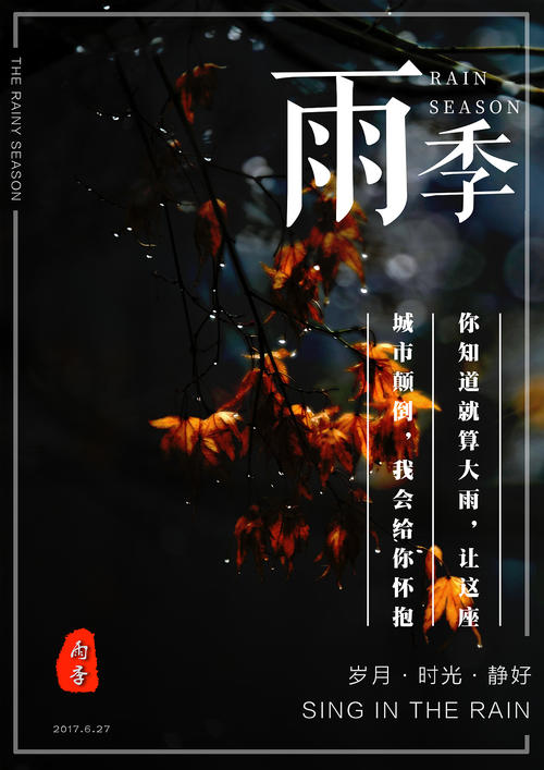 坦帕代办证件